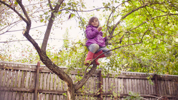 Little girl sitting on a tree and eating apple