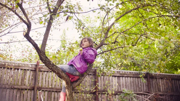 少女の木と食用リンゴの上に座って — ストック写真