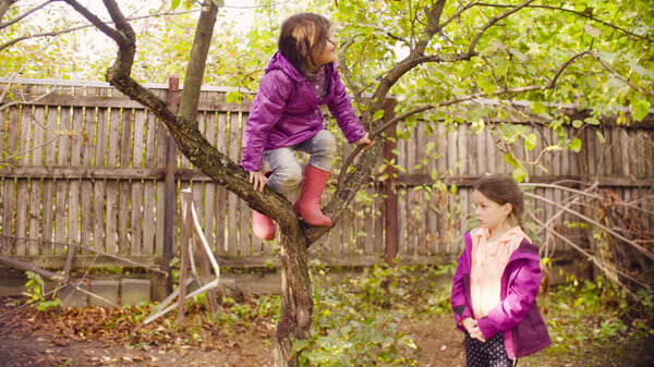 Little girl climbing up a tree and looking for apples