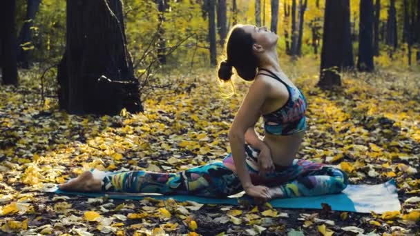 Joven hermosa mujer haciendo ejercicios en el bosque de otoño — Vídeo de stock