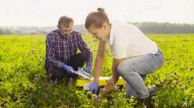 İki ekolojist inceleyerek bitkiler çayır üzerinde