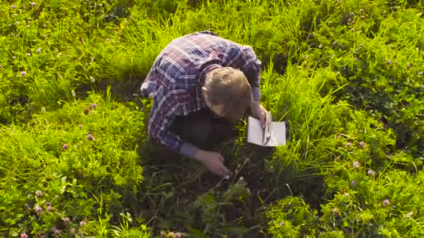 Científico ecologista examinando plantas en el prado — Vídeos de Stock