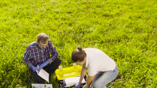 Dois ecologistas examinando plantas no prado — Vídeo de Stock