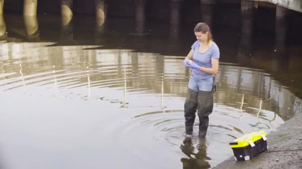 都市河川の水のサンプルを得ることの生態学者 — ストック動画