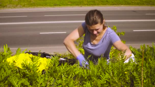Vrouw ecoloog krijgen van monsters van planten in de buurt van snelweg. — Stockvideo