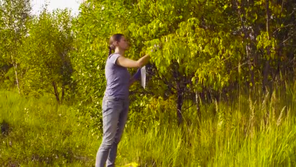Mujer ecologista obtener muestras de follaje . — Vídeo de stock