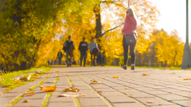 Azulejos en la carretera en el parque, en él son hojas de color. Temporada de otoño . — Vídeo de stock