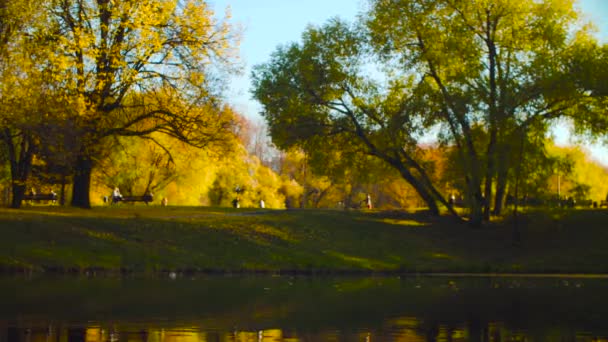 Paysage d'automne, Lac dans le parc, Canards nageant dans le lac 