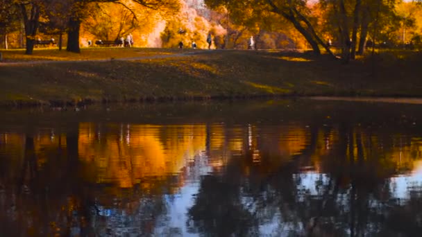 Autunno, lago nel parco, alberi colorati riflessi nell'acqua — Video Stock