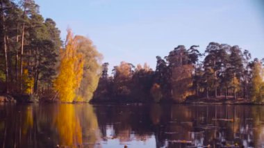 Sonbahar manzara, renkli ağaçlarda yaprak. Sonbahar sezon.