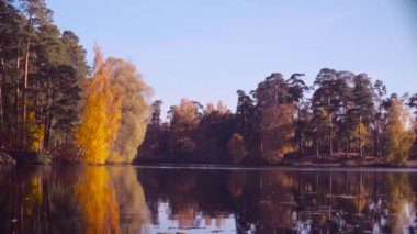 Sonbahar manzara, renkli ağaçlarda yaprak. Sonbahar sezon.