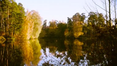 Sonbahar manzara, renkli ağaçlarda yaprak. Sonbahar sezon.