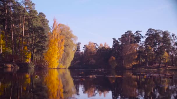 Herfst landschap, kleurrijke bladeren aan de bomen. Val seizoen. — Stockvideo