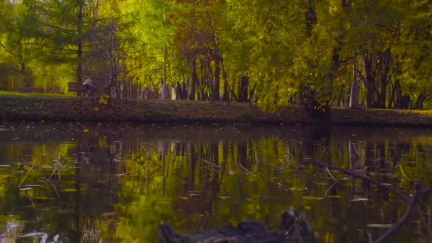 Herfst landschap, meer in het park. Val seizoen — Stockvideo