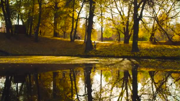 Herfst, lake in het park, kleurrijke bomen weerspiegeld in het water — Stockvideo