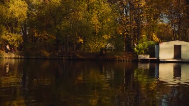 Lago en la ciudad en otoño, patos nadando en el agua — Vídeo de stock