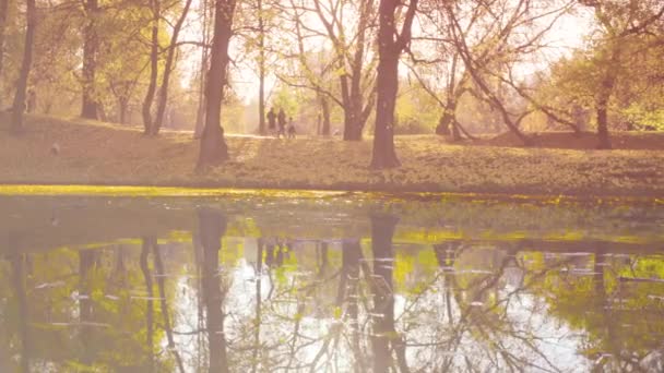 Herfst landschap, meer in het park. Val seizoen — Stockvideo