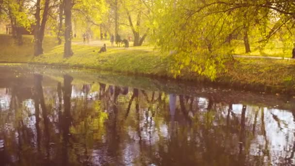 Otoño, lago en el parque, árboles coloridos reflejados en el agua — Vídeo de stock