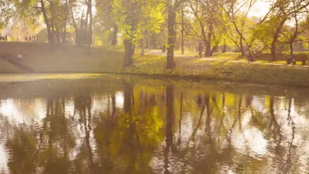 Autumn landscape, lake in the park. Fall season — Stock Video