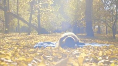 Genç çekici kadının Yoga exersices Park yapması