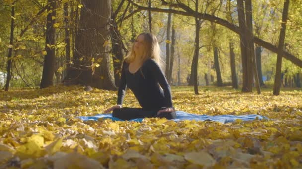 Ung attraktiv kvinna gör yoga exersices i parken — Stockvideo