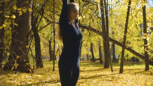 Ung attraktiv kvinna gör yoga exersices i parken — Stockvideo