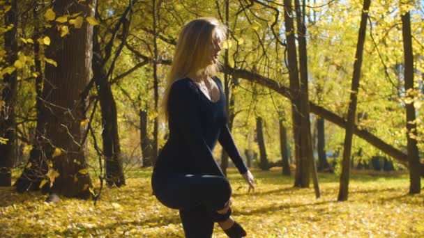 Jovem mulher atraente fazendo ioga exerce no parque — Vídeo de Stock