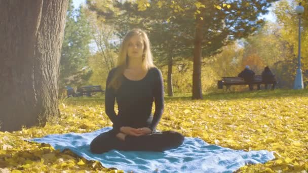 Junge attraktive Frau macht Yoga-Übungen im Park — Stockvideo