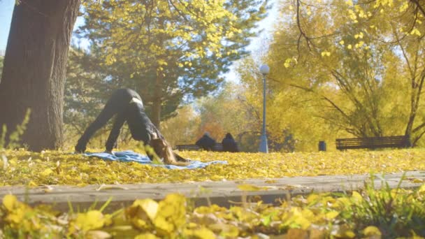 Mladá atraktivní žena dělá jógu exersices v parku — Stock video