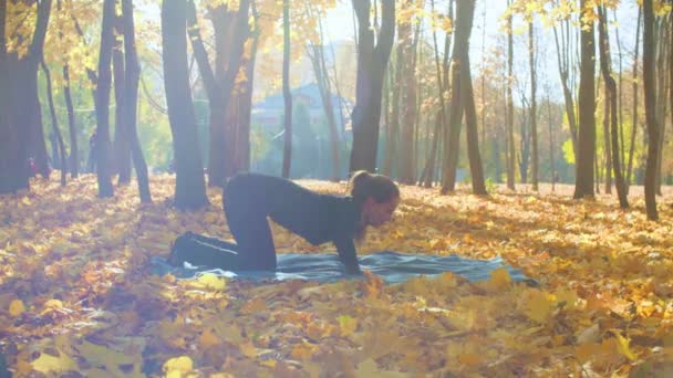 Jonge aantrekkelijke vrouw doen yoga oefeningen in het park — Stockvideo