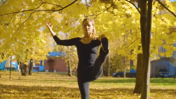 Ung attraktiv kvinna gör yoga exersices i parken — Stockvideo