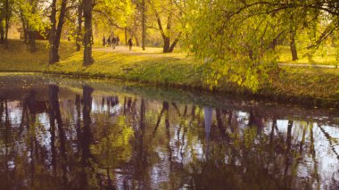 Sonbahar manzarası, göl Park. Sonbahar sezon