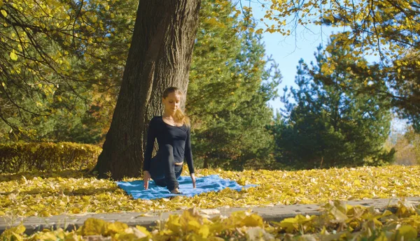 Jeune femme attrayante faisant des exercices de yoga dans le parc — Photo