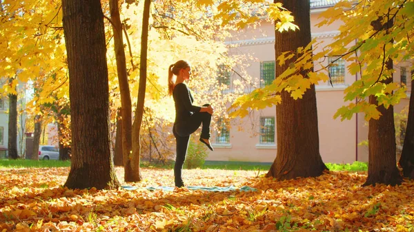 Młoda atrakcyjna kobieta robi exersices Joga w parku — Zdjęcie stockowe