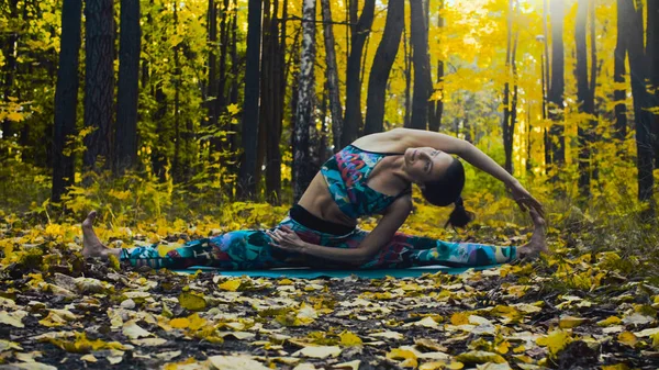 Молодая красивая женщина делает хореографические упражнения в осеннем лесу — стоковое фото