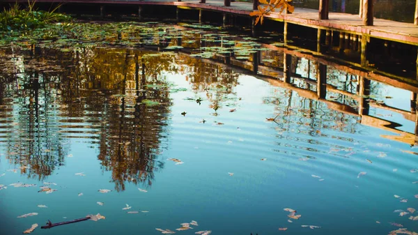 Herfst landschap, meer in het park. Val seizoen — Stockfoto