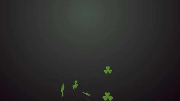 Tag des Heiligen Patricks. Kleeblätter auf schwarzem Hintergrund — Stockvideo