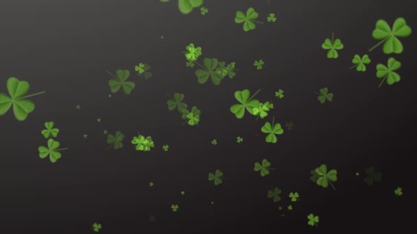 День Святої Patricks. Конюшина падаючі листя над чорним фоном — стокове відео