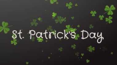 Saint Patricks Day. Siyah arka plan üzerinde düşen yonca bırakır