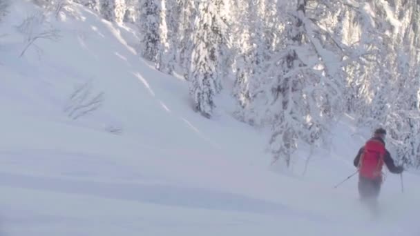 Skitour en Siberia. Un hombre montando colina abajo en un bosque nevado . — Vídeos de Stock
