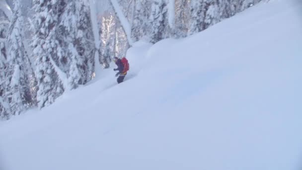 Skitour na Syberii. Człowiek jazdy w dół wzgórza w śnieżnym lesie. — Wideo stockowe