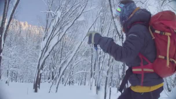 Skitour en Sibérie. Un homme skie dans une forêt enneigée . — Video