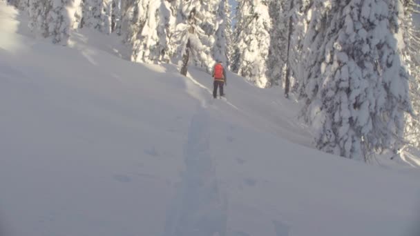 シベリアの Skitour。雪に覆われた森でスキー男. — ストック動画