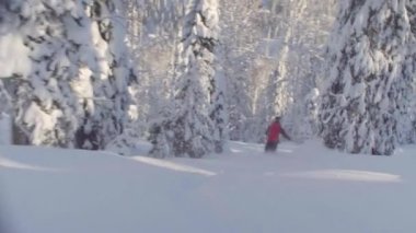 Sibirya'da skitour. Karlı bir ormandaki tepeden aşağı bir kişini.