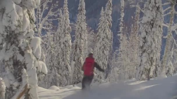 Skitour in Sibirien. ein Mann reitet den Hügel hinunter in einem verschneiten Wald. — Stockvideo
