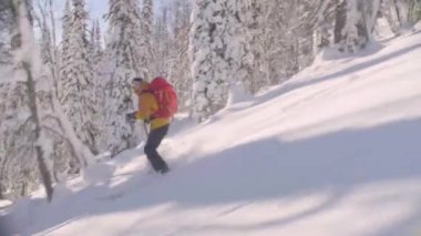 Sibirya'da skitour. Karlı bir ormandaki tepeden aşağı bir kişini.