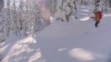 Sibirya'da skitour. Karlı bir ormandaki tepeden aşağı bir kişini.