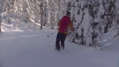 Sibirya'da skitour. Karlı bir ormandaki tepeden aşağı bir kişini.