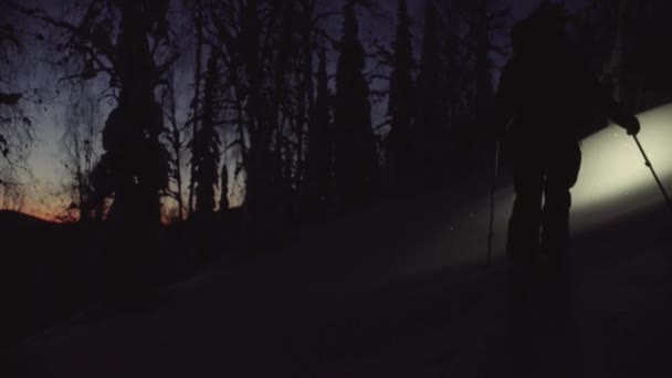 Человек катается на лыжах в заснеженном лесу с фонариком — стоковое видео