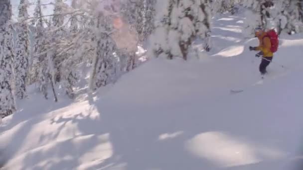 Skitour Szibériában. Egy ember lovaglás le a dombról, a havas erdőben. — Stock videók